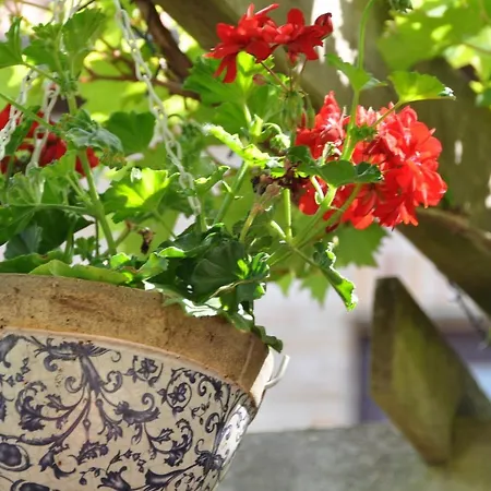 Bed & Breakfast Bella En Basiel Bruges